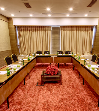 Professional Areas for Successful Meetings